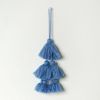 Butterfly pea