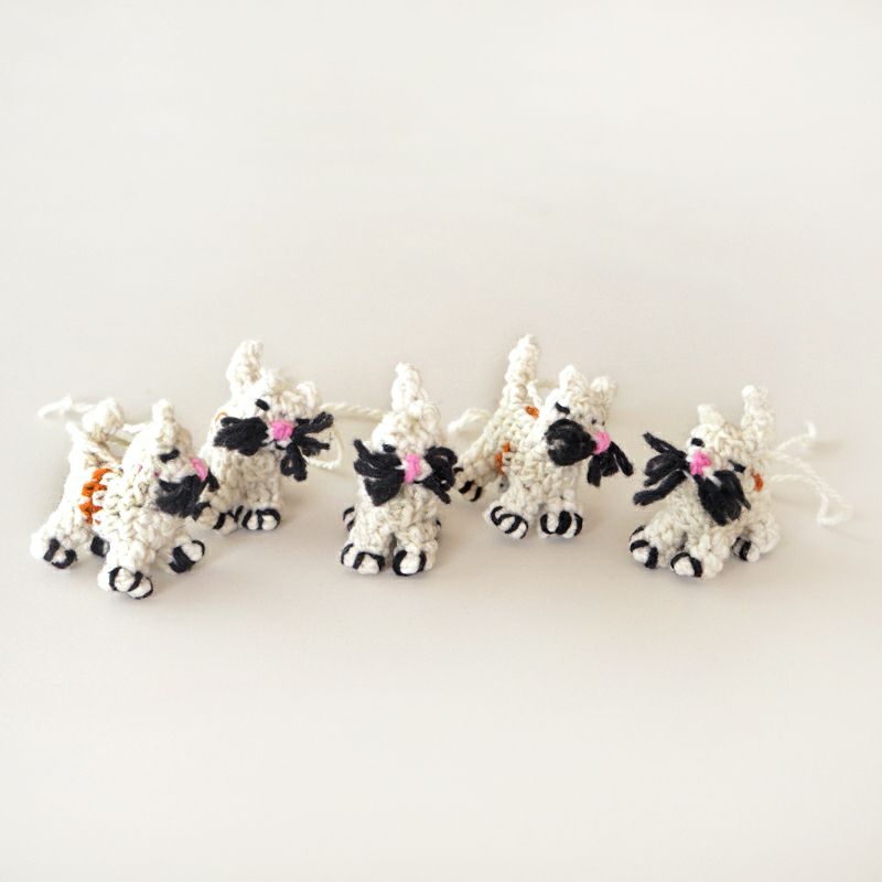 いずれかをお届けいたします※お選びいただけません